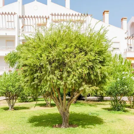 Διαμέρισμα Alfamar At Da Falesia Αλμπουφέιρα